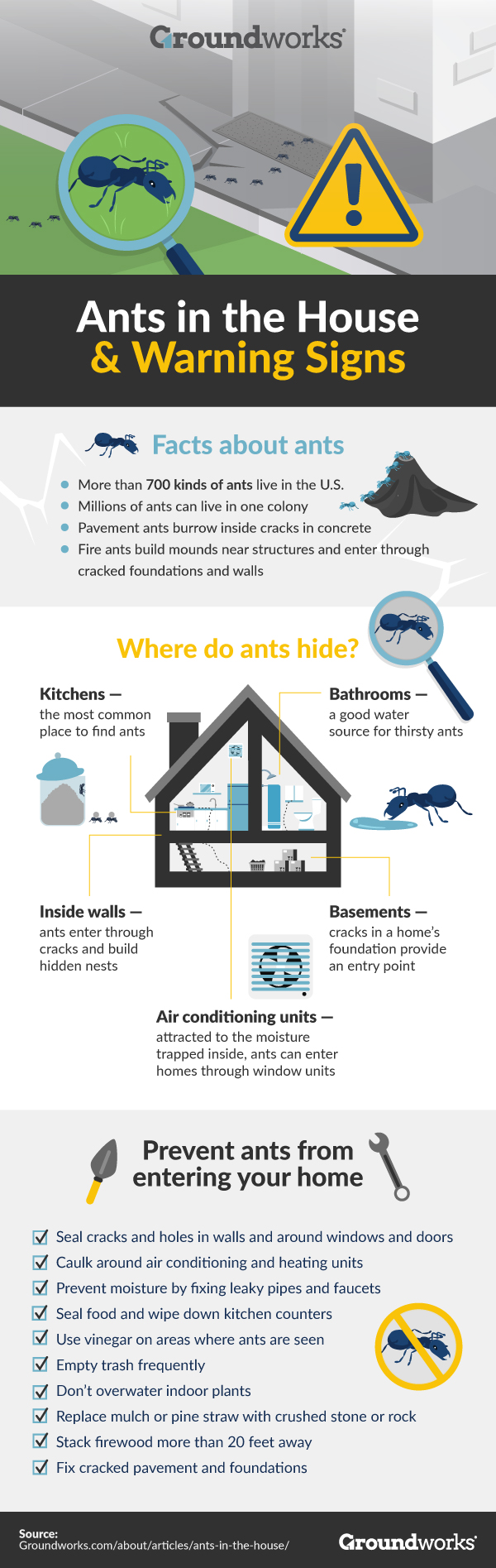 ants-in-the-house-warning-signs-infographic-groundworks