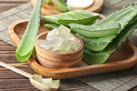 Aloe Vera Is Good For Healthy And Happy Life
