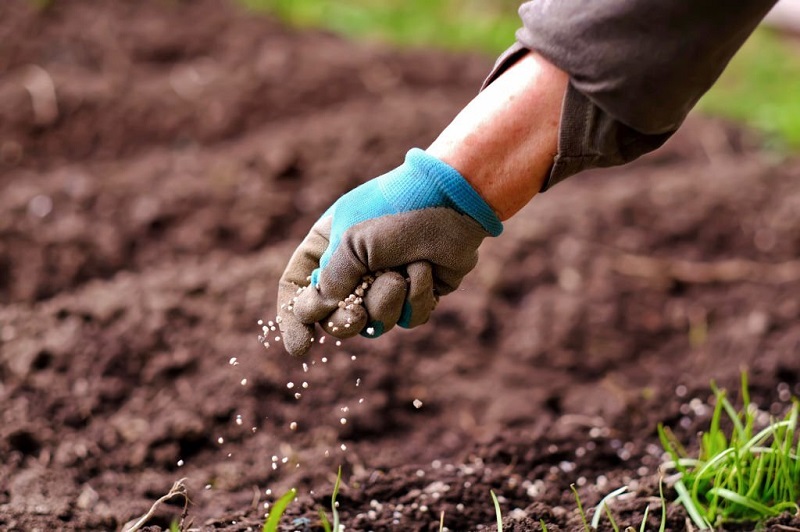 garden-soil