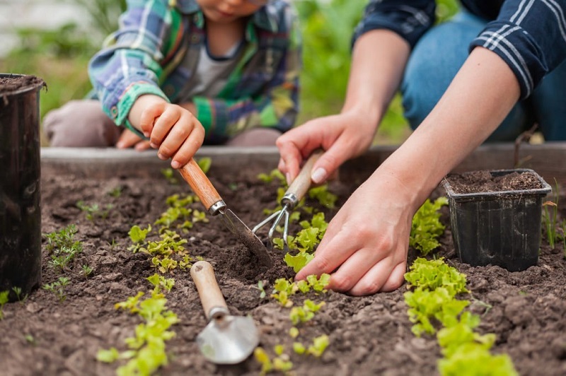 gardeners-share