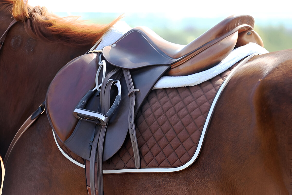 half breed saddles australia